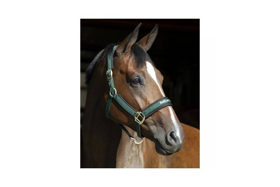Cabezada Cuadra Back On Track Werano Verde | Equestrian. Calvet Animals i