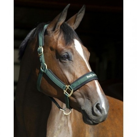 Cabezada Cuadra Back On Track Werano Verde | Equestrian. Calvet Animals i