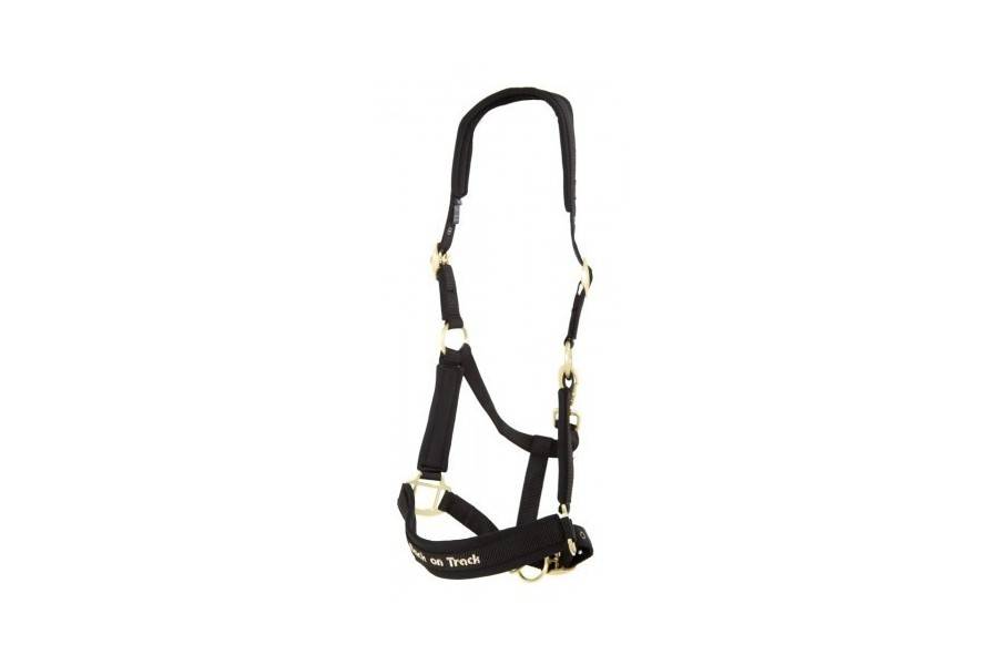 Cabezada Cuadra Back On Track Werano Negra | Equestrian. Calvet Animals i