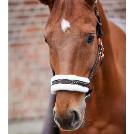 Cabezada Cuadra Waldhausen Elegant Negra/Rosa Gold |Cavall i Genet a