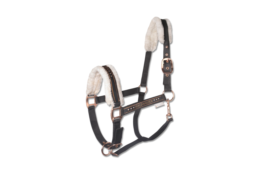Cabezada Cuadra Waldhausen Elegant Negra/Rosa Gold |Cavall i Genet a