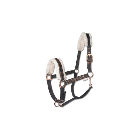 Cabezada Cuadra Waldhausen Elegant Negra/Rosa Gold |Cavall i Genet a