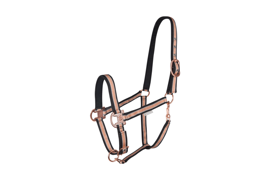 Cabezada Cuadra Waldhausen Shine Negra/Rosa Gold | Equestrian. Calvet