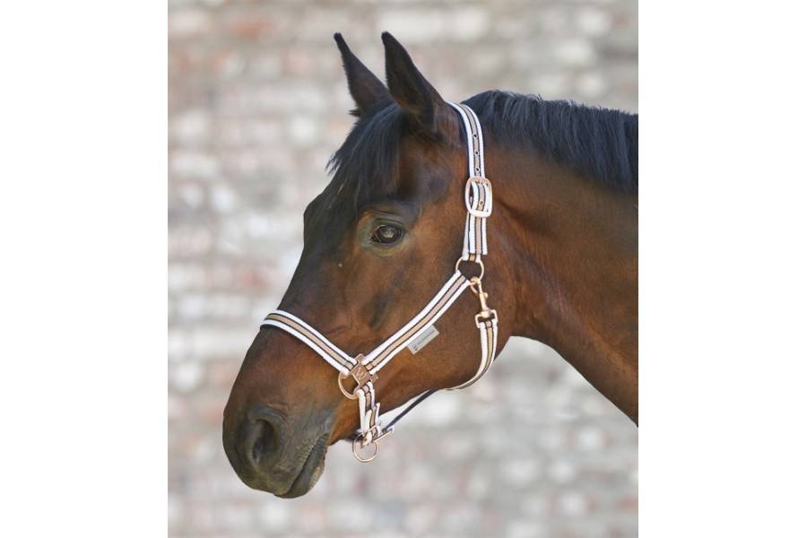 Cabezada Cuadra Waldhausen Shine Blanca/Rosa Gold |Cavall i Genet a