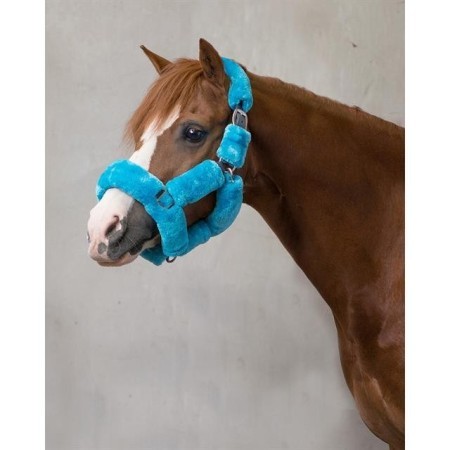 Cabezada Cuadra QHP Alaska Lana Azul Claro |Cavall i Genet a Equestrian