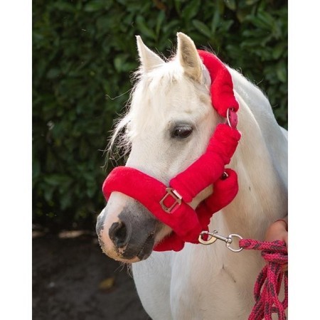 Cabezada Cuadra QHP Alaska Lana Fucsia |Cavall i Genet a Equestrian