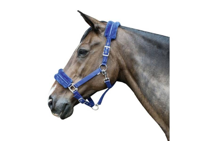 Cabezada Cuadra HKM Glitter Lana Azul Viola |Cavall i Genet a Equestrian