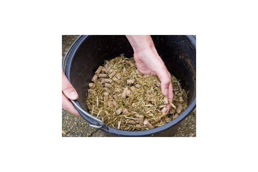 Pavo Daily Plus 12 Kg |Cavall i Genet a Equestrian, Calvet Animal i Plantes