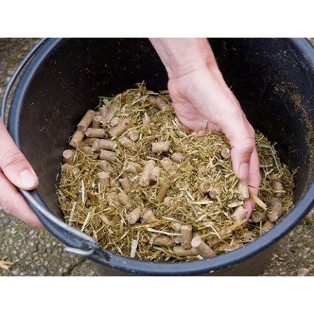 Pavo Daily Plus 12 Kg |Cavall i Genet a Equestrian, Calvet Animal i Plantes
