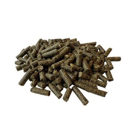 Pavo Weightlift 20Kg |Cavall i Genet a Equestrian, Calvet Animal i Plantes