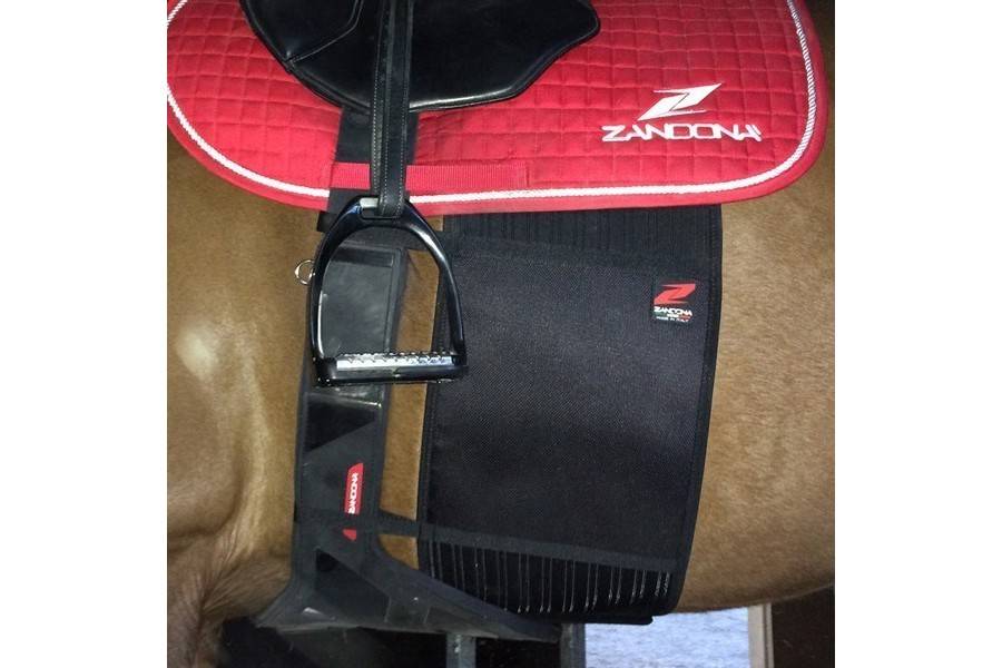 Banda Protectora Zandona Basic Chafe Guard Negra | Equestrian. Calvet