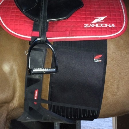Banda Protectora Zandona Basic Chafe Guard Negra | Equestrian. Calvet