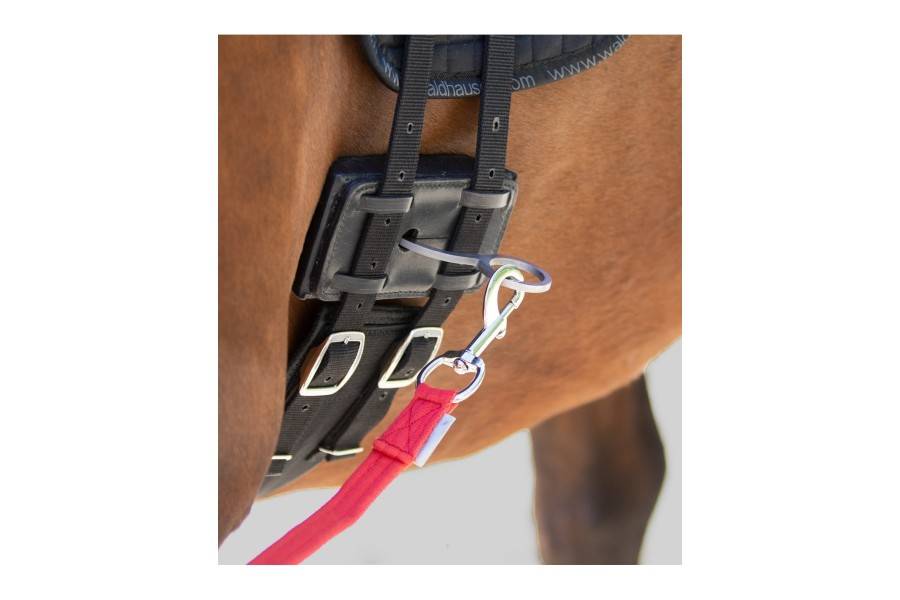 Sistema Equibender |Cavall i Genet a Equestrian, Calvet Animal i Plantes