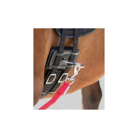 Sistema Equibender |Cavall i Genet a Equestrian, Calvet Animal i Plantes