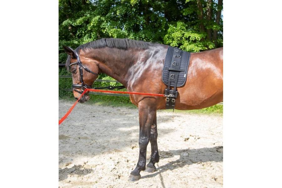 Sistema Equibender |Cavall i Genet a Equestrian, Calvet Animal i Plantes