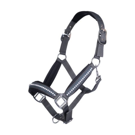 Cabezada Cuadra HKM Berry Gris Oscuro | Equestrian. Calvet Animals i