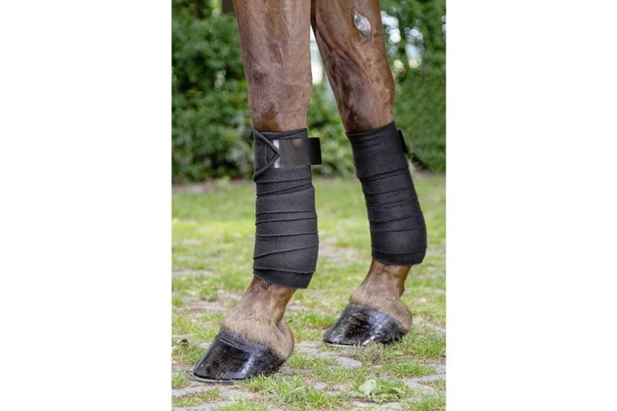 Benes Polar HKM Innovation Negra (4) |Cavall i Genet a Equestrian, Calvet
