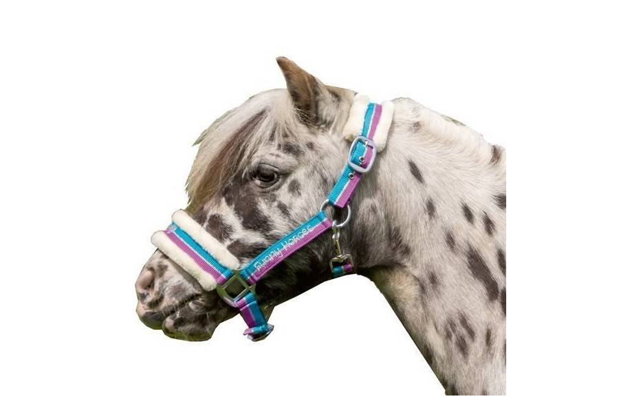 Cabezada Cuadra HKM Funny Lana Azul/Rosa |Cavall i Genet a Equestrian