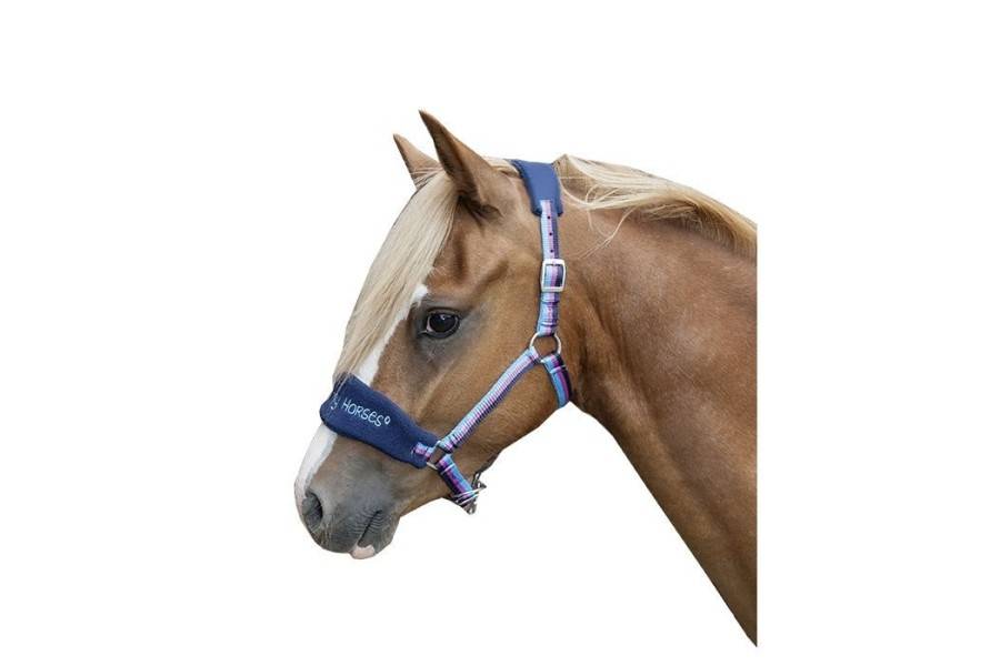 Cabezada Cuadra HKM Funny Azul/Rosa | Equestrian. Calvet Animals i Plantes.