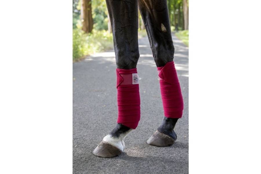 Benes Polar HKM Performance Burdeos (4) |Cavall i Genet a Equestrian