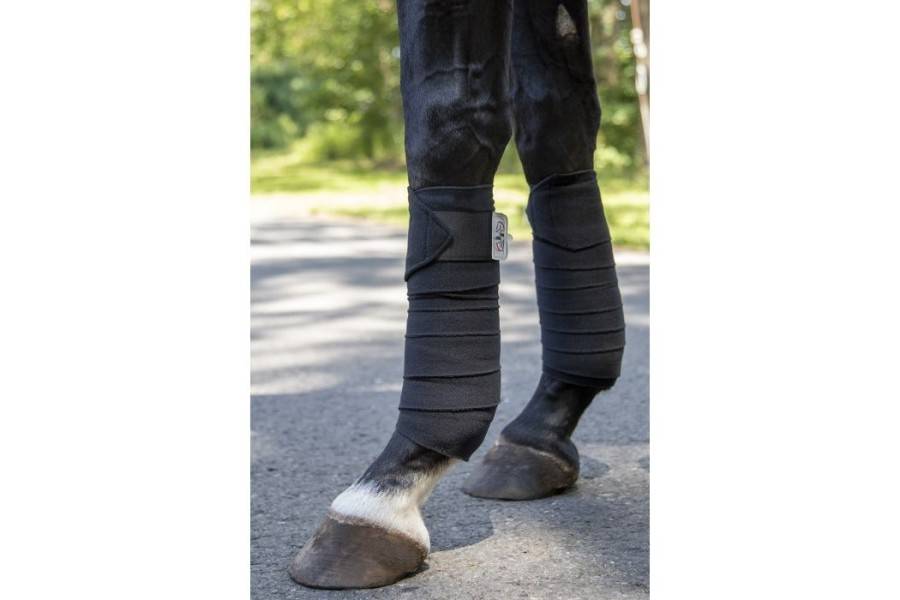 Benes Polar HKM Performance Negra (4) |Cavall i Genet a Equestrian, Calvet