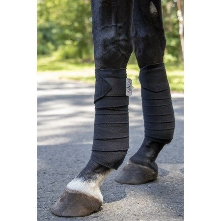 Benes Polar HKM Performance Negra (4) |Cavall i Genet a Equestrian, Calvet