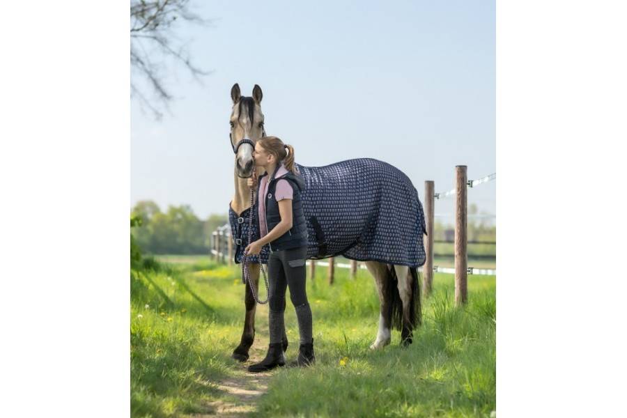 Manta Caballo Verano Antimoscas Waldhausen Lucky Heart Azul |Cavall i