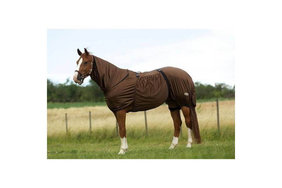Manta Caballo Verano Anti-Eczema Marrón | Equestrian. Calvet Animals i