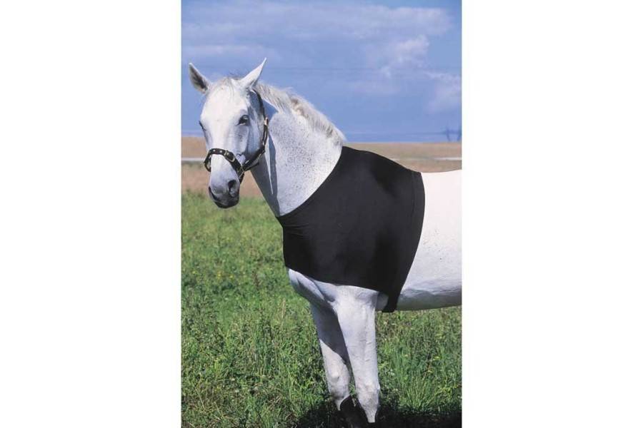Protector Hombros Caballo Equitheme Negro |Cavall i Genet a Equestrian