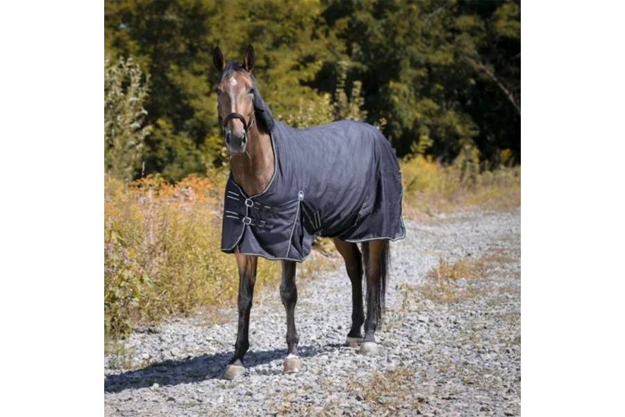 Manta Caballo Exterior Riding Wolrd 300D 220 Gramos | Equestrian. Calvet