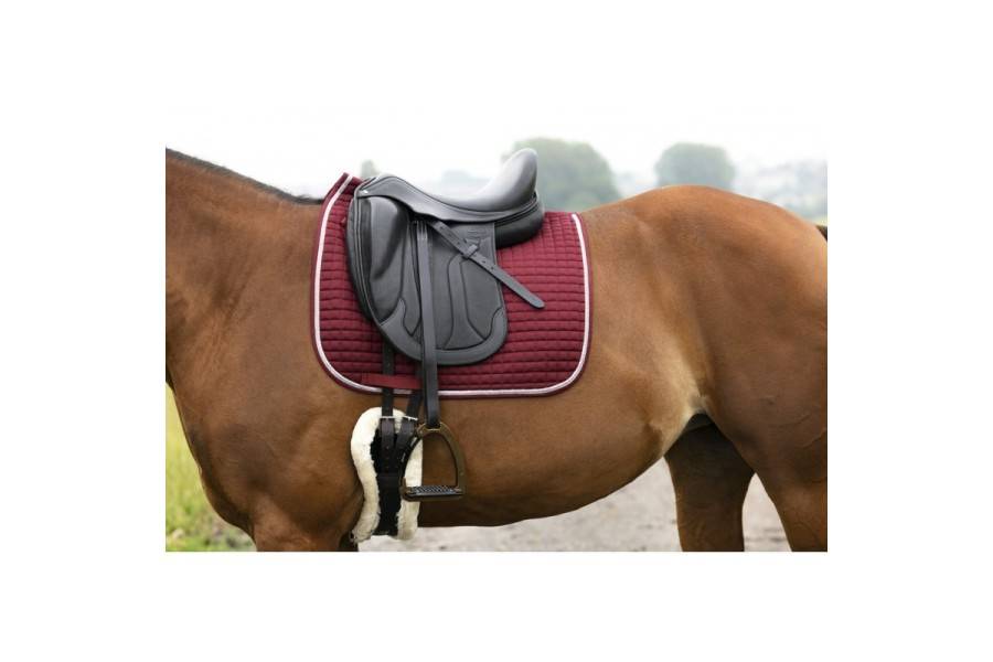 Suador Doma Riding World Girly Burdeos |Cavall i Genet a Equestrian