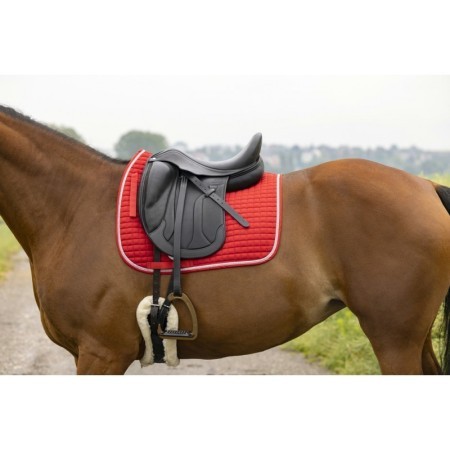 Sudadero Doma Riding World Girly Rojo | Equestrian. Calvet Animals i