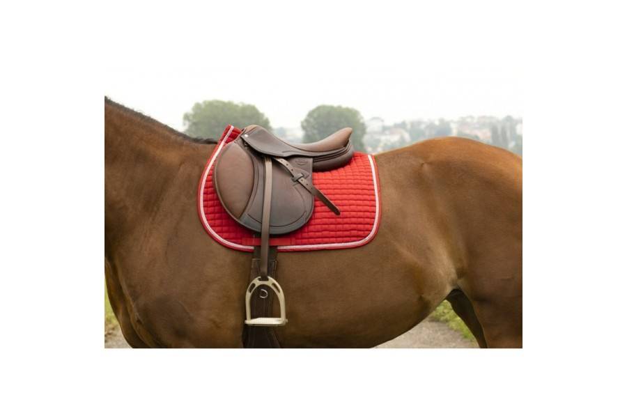 Sudador Us General Riding World Girly Vermell |Cavall i Genet a