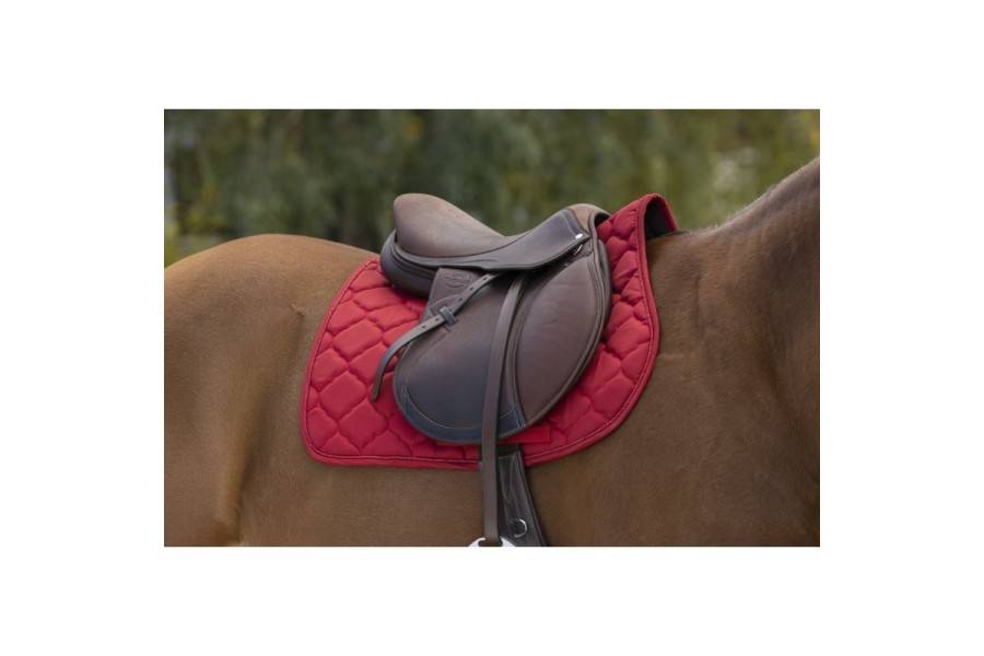 Sudadero Uso General Riding World Rope Rojo | Equestrian. Calvet Animals i
