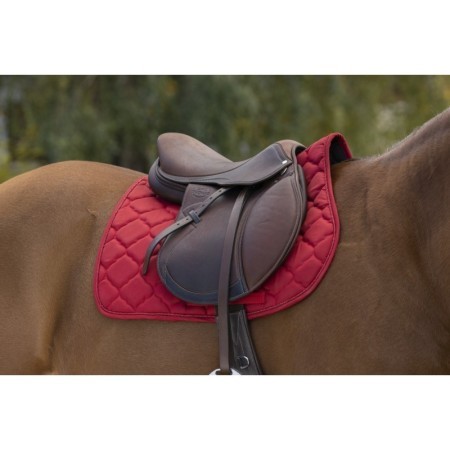 Sudadero Uso General Riding World Rope Rojo | Equestrian. Calvet Animals i