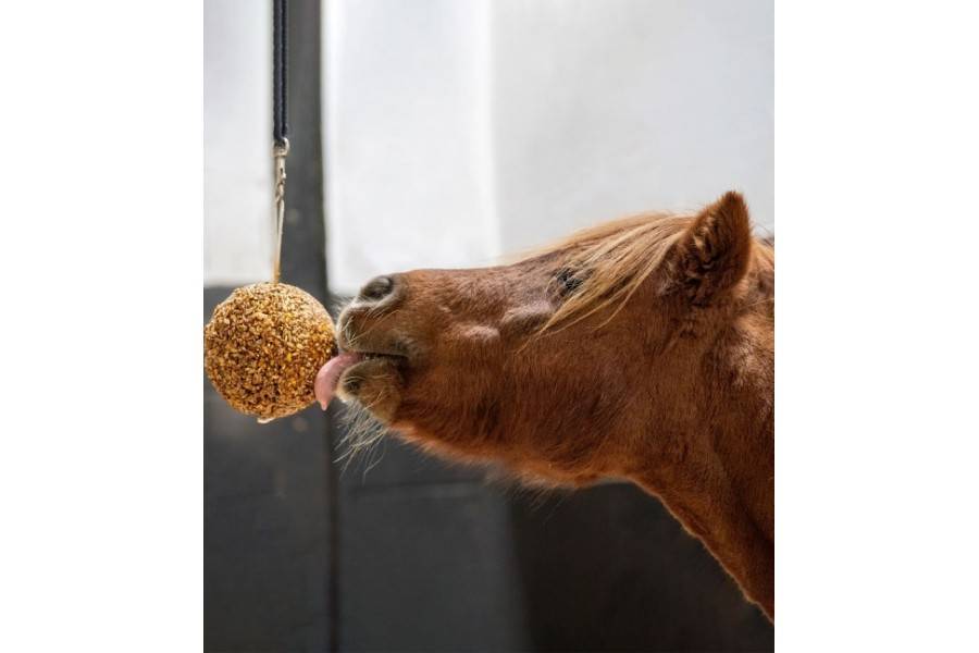 Likit Granola Stall Ball Bayas Mixtas | Equestrian. Calvet Animals i