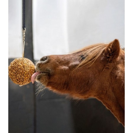 Likit Granola Stall Ball Bayas Mixtas | Equestrian. Calvet Animals i
