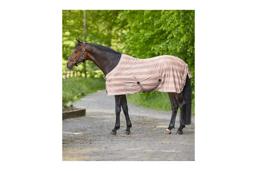 Manta Caballo Verano Waldhausen Economic Rosa |Cavall i Genet a