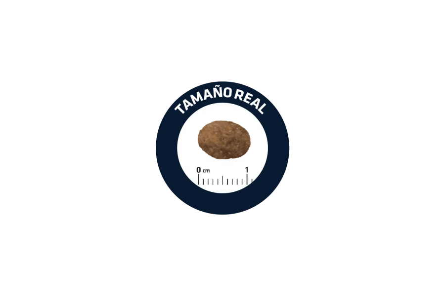 Advance Cat Adult Salmón 1,50 Kg para gatos | Calvet Animales y Plantas