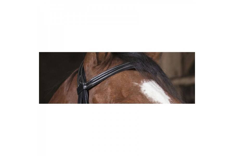 Morralla Muntar Norton Pro Fin Negra |Cavall i Genet a Equestrian, Calvet