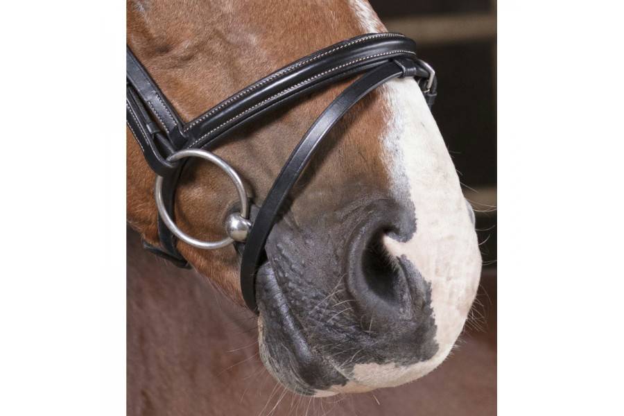 Morralla Muntar Norton Pro Fin Negra |Cavall i Genet a Equestrian, Calvet