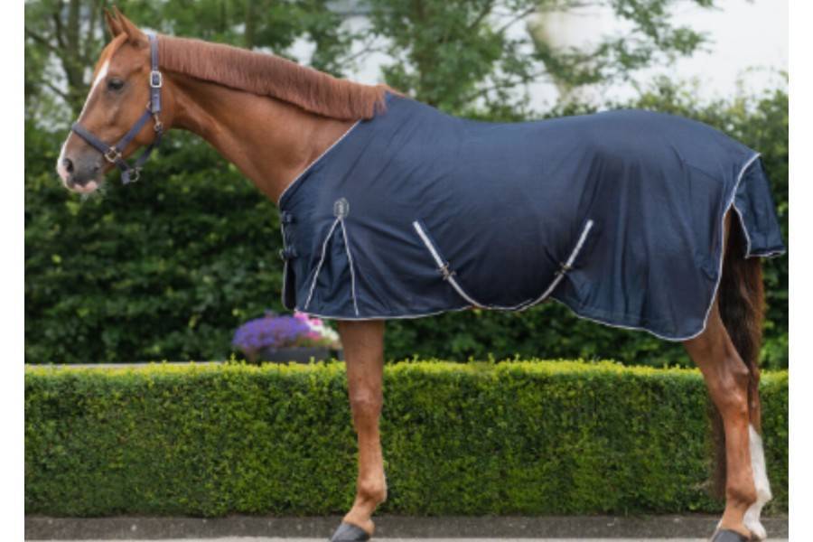 Manta Caballo Verano Antimoscas QHP Basic Azul Marino | Equestrian. Calvet