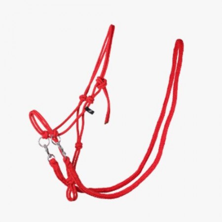 Cabezada Cuadra Cuerda QHP + Ramal Rojo | Equestrian. Calvet Animals i