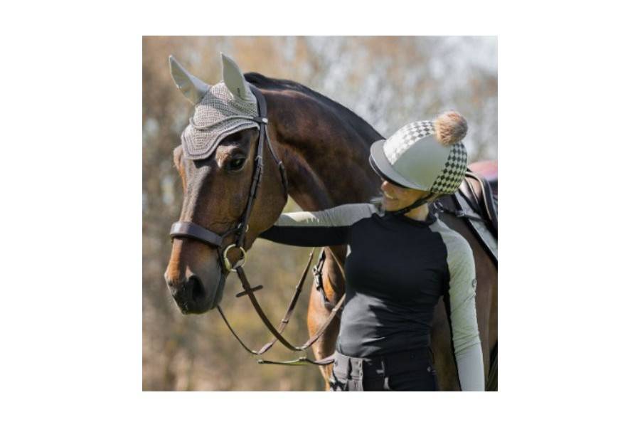 Orelleres QHP Eldorado Biscuit |Cavall i Genet a Equestrian, Calvet Animal