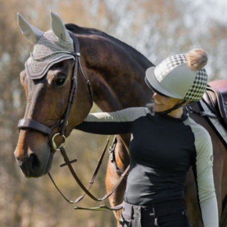 Orelleres QHP Eldorado Biscuit |Cavall i Genet a Equestrian, Calvet Animal