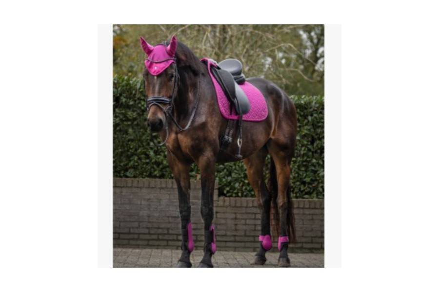Orejeras QHP Rio Festival Fucsia | Equestrian. Calvet Animals i Plantes.