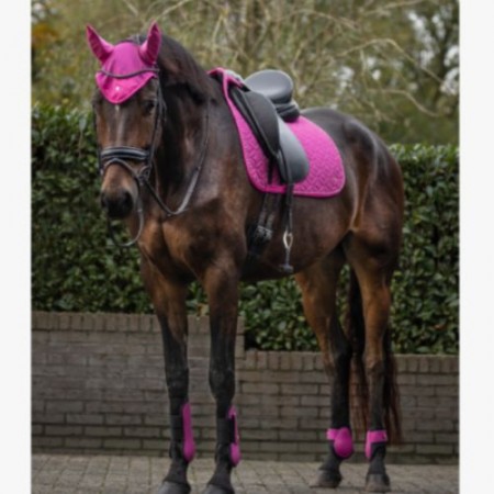 Orejeras QHP Rio Festival Fucsia | Equestrian. Calvet Animals i Plantes.