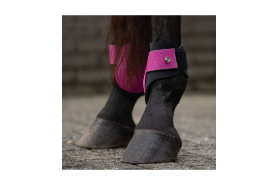 Protectores Menudillo QHP Rio Festival Fucsia | Equestrian. Calvet Animals