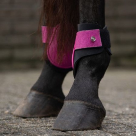 Protectores Menudillo QHP Rio Festival Fucsia | Equestrian. Calvet Animals
