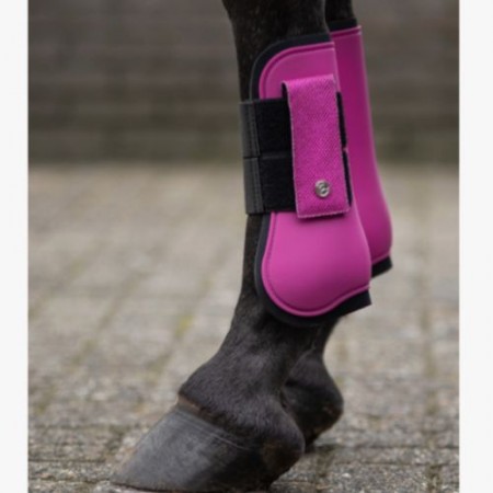 Protectores Tendón QHP Rio Festival Fucsia | Equestrian. Calvet Animals i 2